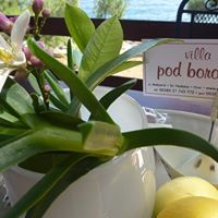 Villa pod borom